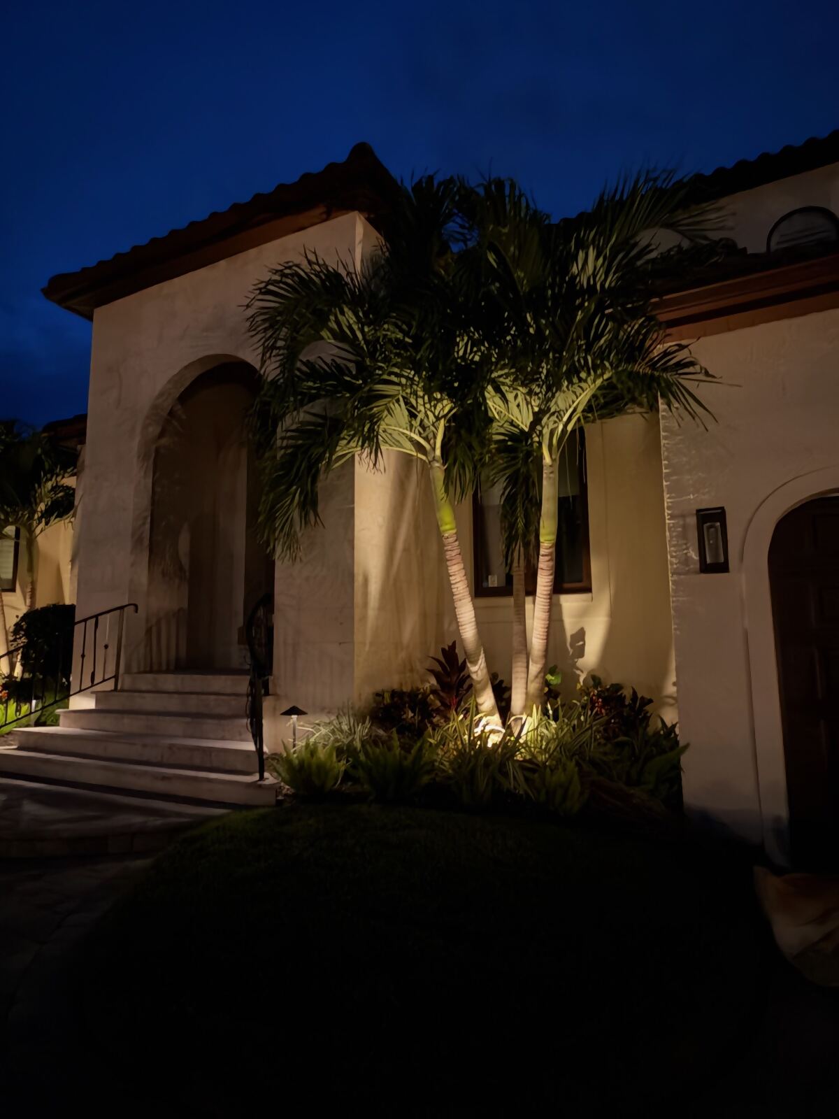 Mediterranean-style home entry with uplit palms and lit garden beds at night