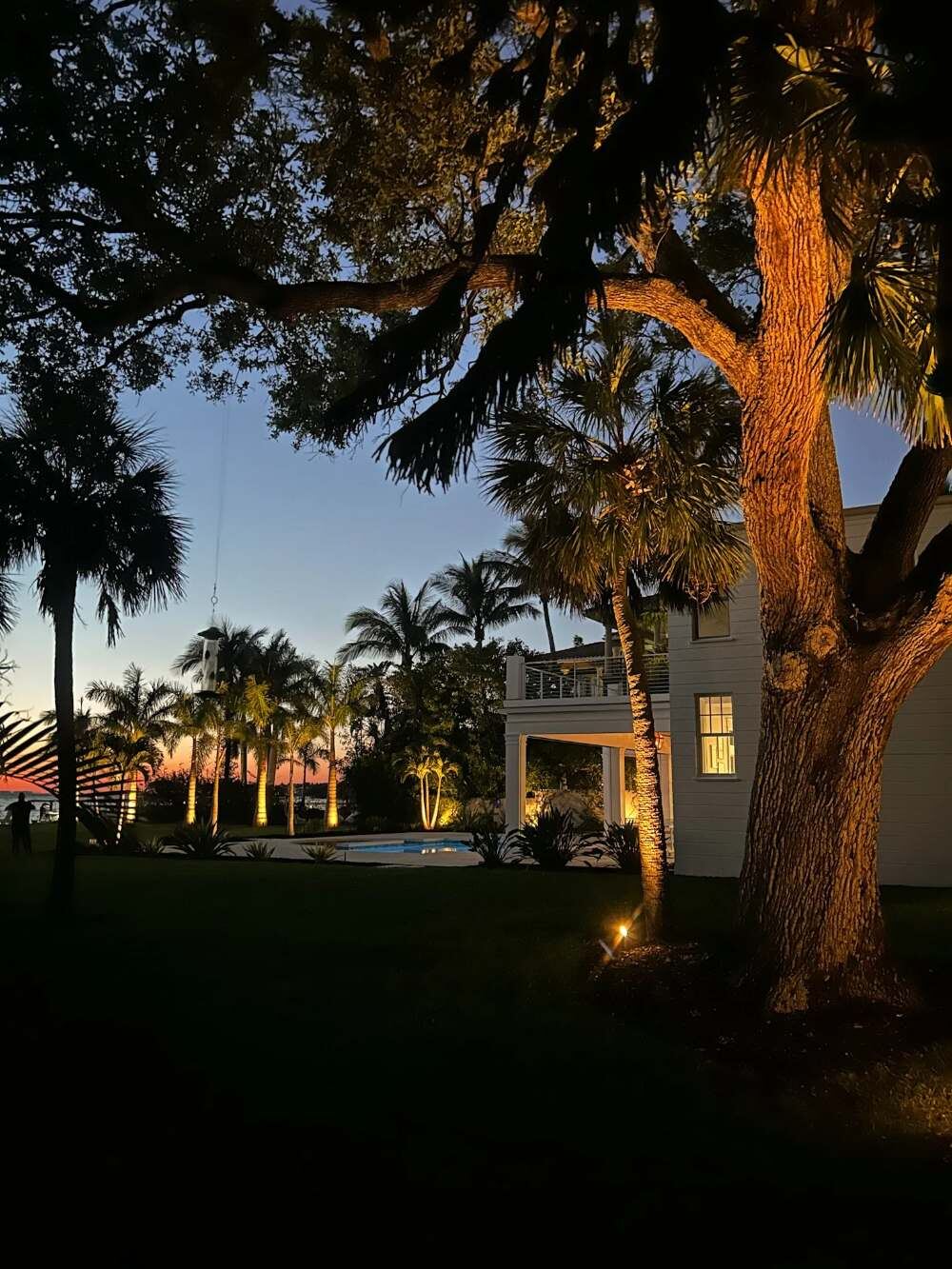 Warm uplighting on a grand oak tree at a Florida home in the evening