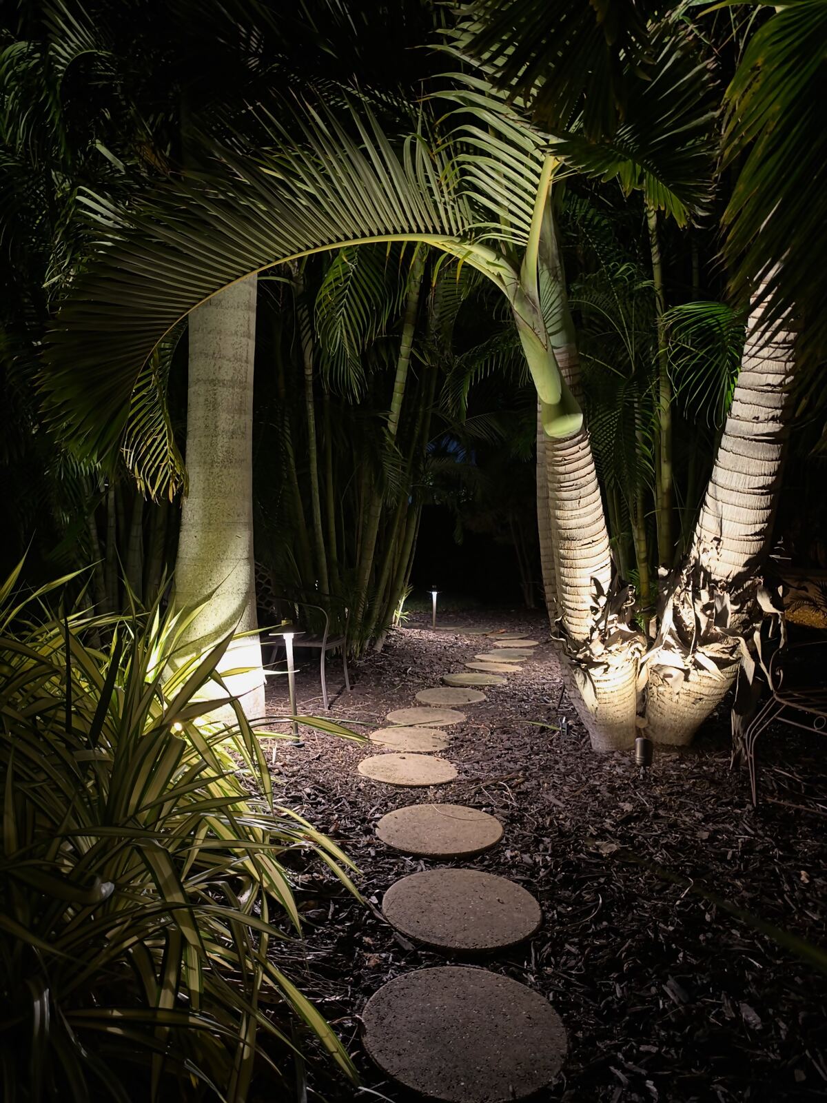 Path lights illuminating a stepping-stone walkway through tropical plants at night